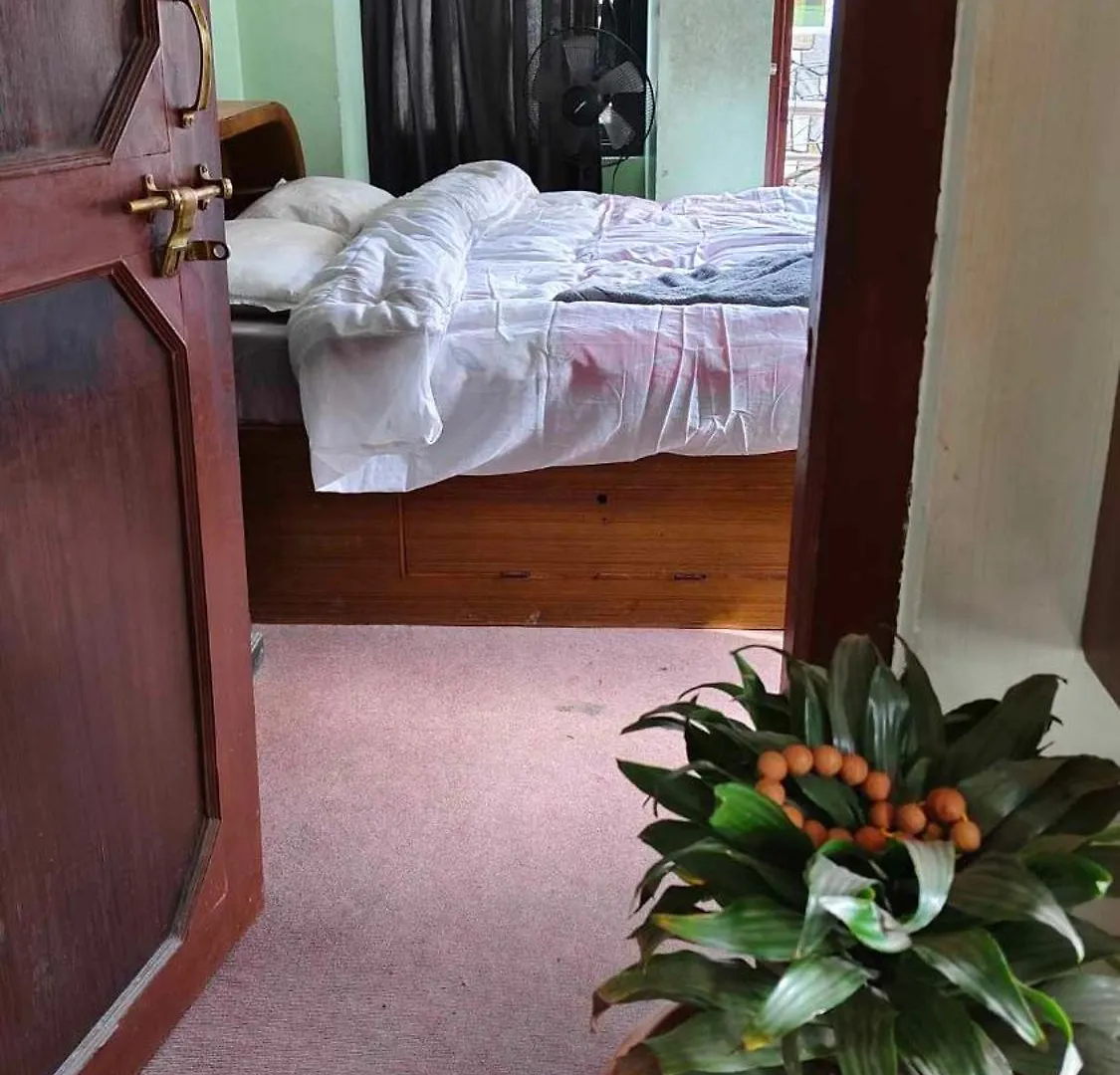 Monkey Temple Homestay Kathmandu 0*,  Nepal